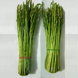 Asparagus at Bacolod Pages