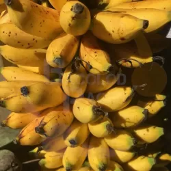 Banana Seniorieta