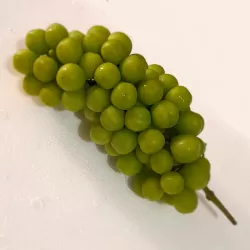 Green Muscat Grapes at Bacolod Pages