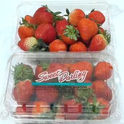 Strawberries USA available at Bacolodpages