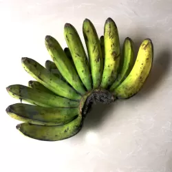 Banana Lakatan Habal