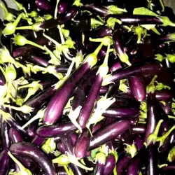 Eggplant