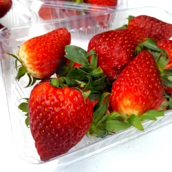 King Jumbo Strawberries - Jumbo Size