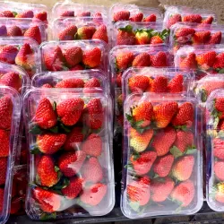 Strawberries King Jumbo (assorted size) at Bacolod pages