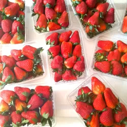 King Jumbo Strawberries - Jumbo Size