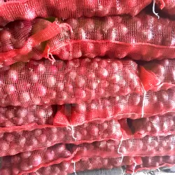 Onion Red Bag