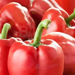 Red Bell Pepper at Bacolodpages