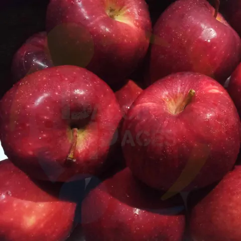 Apple Red Delicious at Bacolodpages