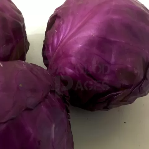 Bacolodpages Fruits and Vegetables Wholesale - Cabbage Red
