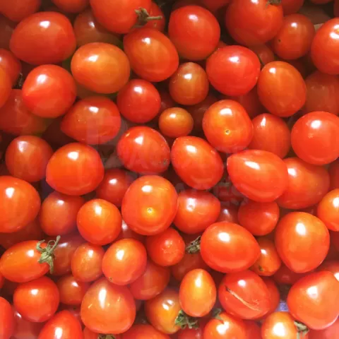 Bacolodpages Fruits and Vegetables Wholesale - Cherry Tomatoes