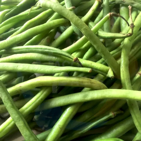 Bacolodpages Fruits and Vegetables Wholesale - French Beans