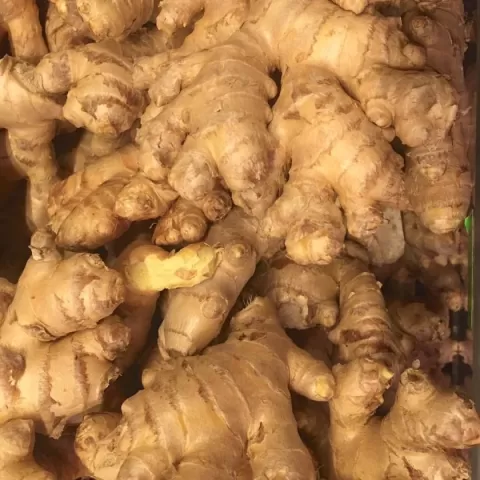 Bacolod Pages Fruits and Vegetables Wholesale - Ginger