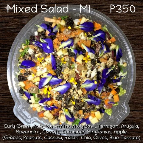 Mixed Salad - M1