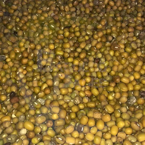Beans - Monggo Yellow