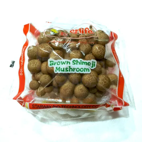 Brown Shimeji