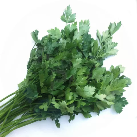 Bacolodpages Fruits and Vegetables Wholesale - Parsley Flat