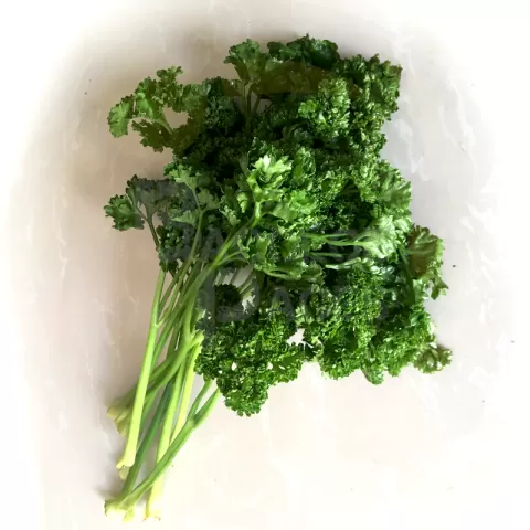 Bacolodpages Fruits and Vegetables Wholesale - Parsley