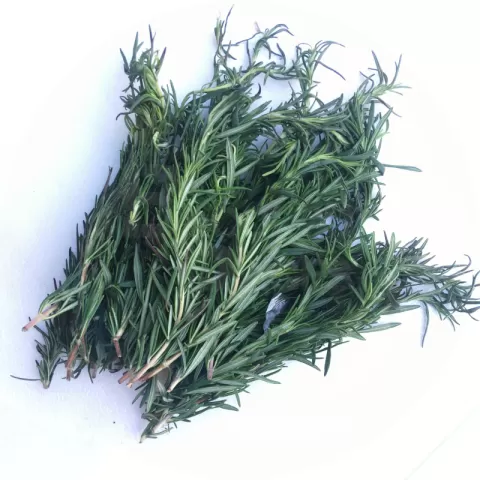 Fresh Rosemary from Baguio at Becolodpages