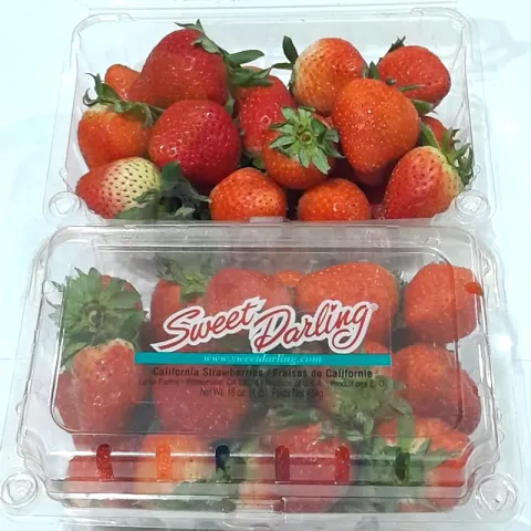 Strawberries USA available at Bacolodpages