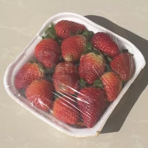 strawberry king jumbo