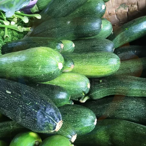 Bacolodpages Fruits and Vegetables Wholesale - Zucchini