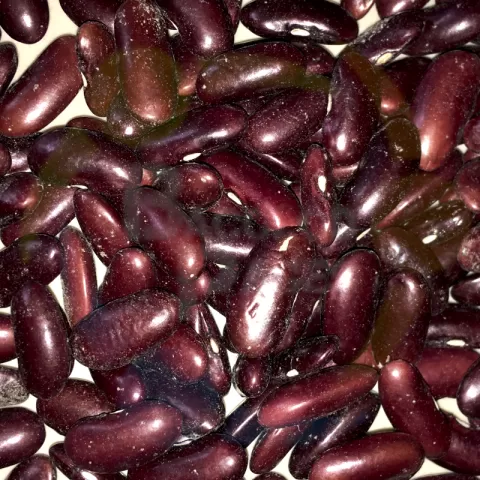 Beans  - Red