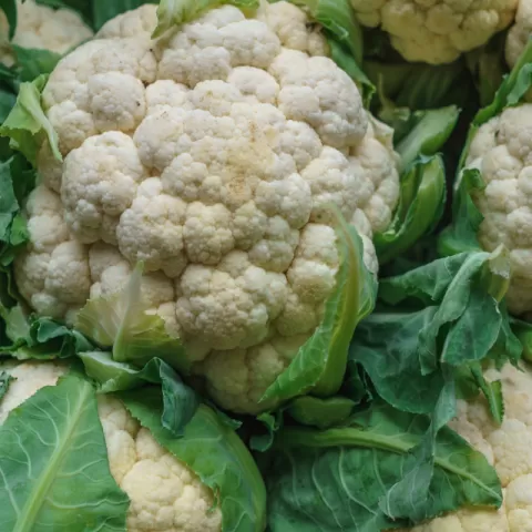 Bacolodpages Fruits and Vegetables Wholesale - Cauliflower