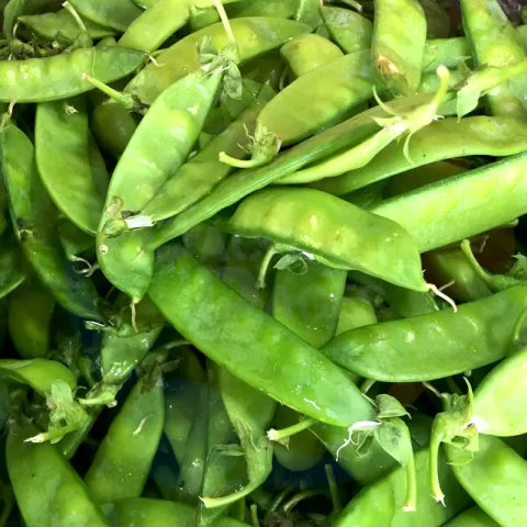 Bacolodpages Fruits and Vegetables Wholesale - Chicharo