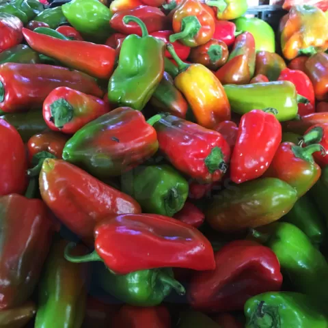 Bacolod Pages Fruits and Vegetables Wholesale - Pidada Sultan