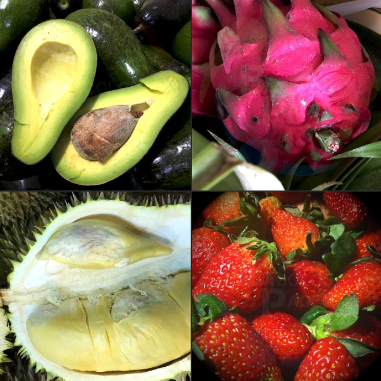 Fresh Seasonal Fruits Bacolod Pages