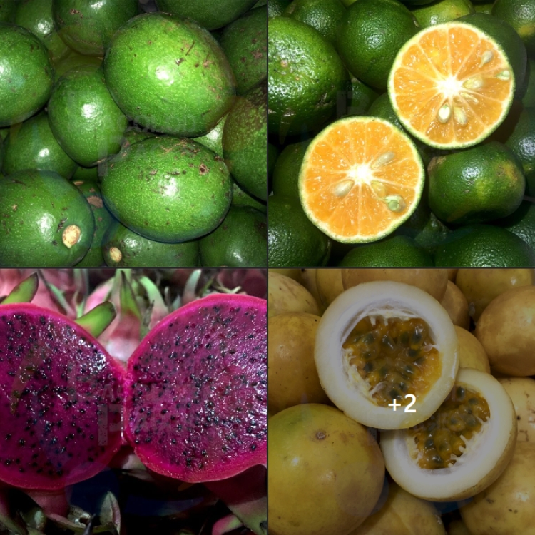 Seasonal Fruits Bacolodpages